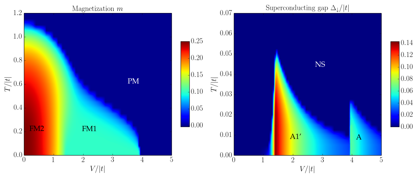 Phase diagram of a ferromagnetic superconductor